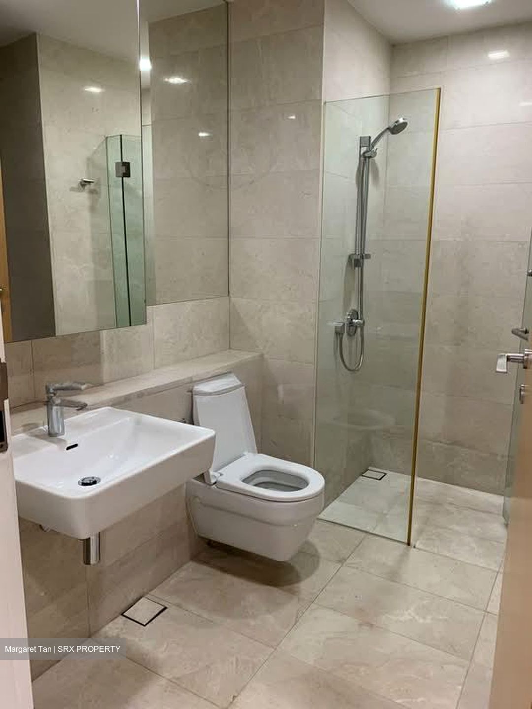 Trilight (D11), Condominium #563326291